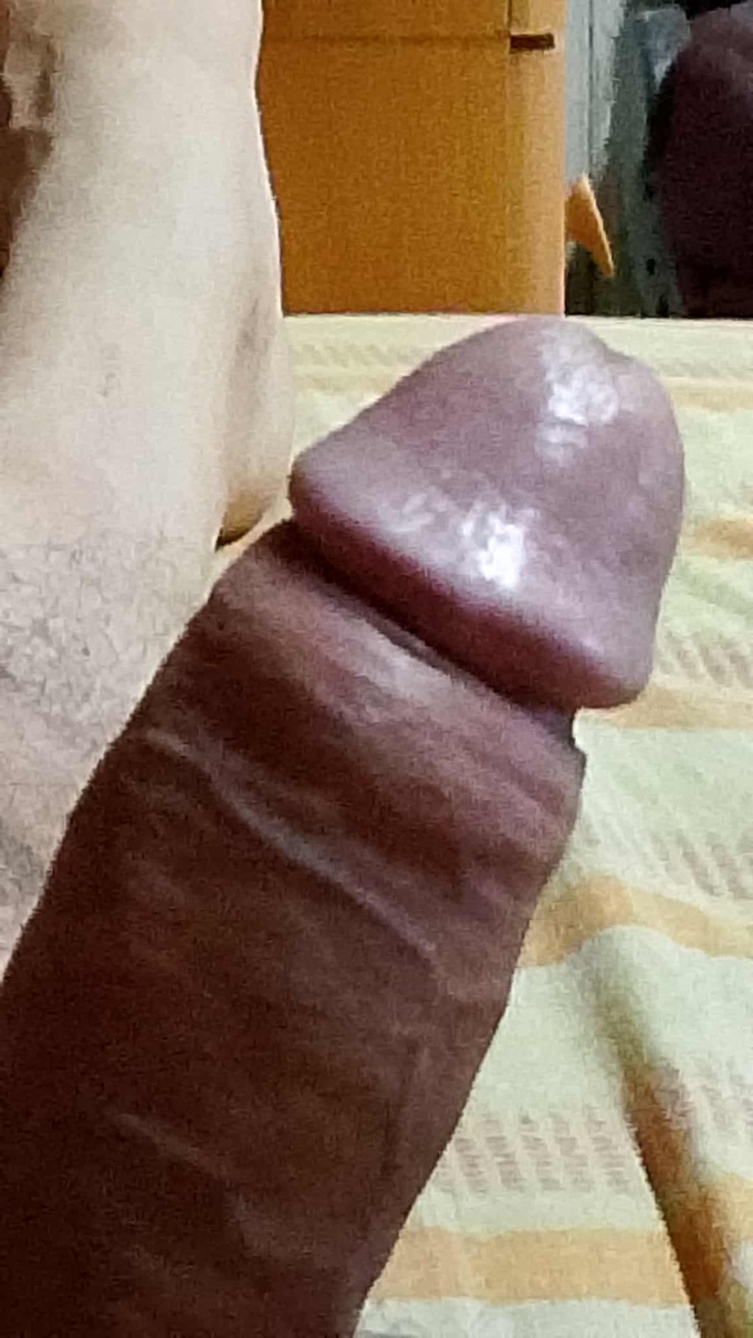 hammer da Livorno,Italia